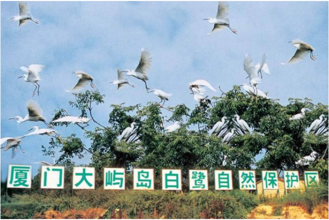 厦门大屿岛白鹭保护区管理办法修正 拟禁止任何人擅入