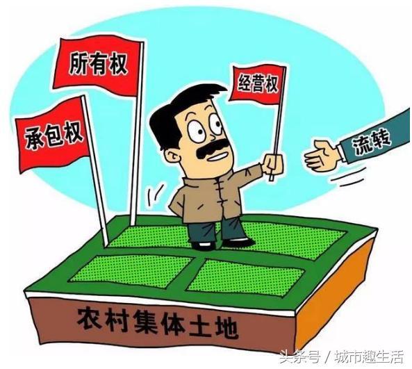 涂拐社区合作社：打造新型农村经济发展的新样板