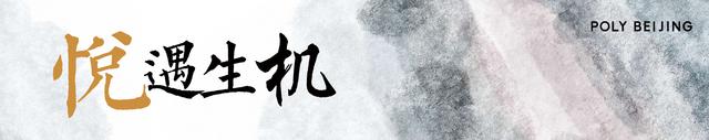 用四个字，讲好一个有光的故事