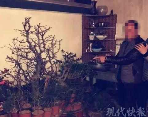 男子痴迷花草不舍得买 偷窃路边盆景带回家