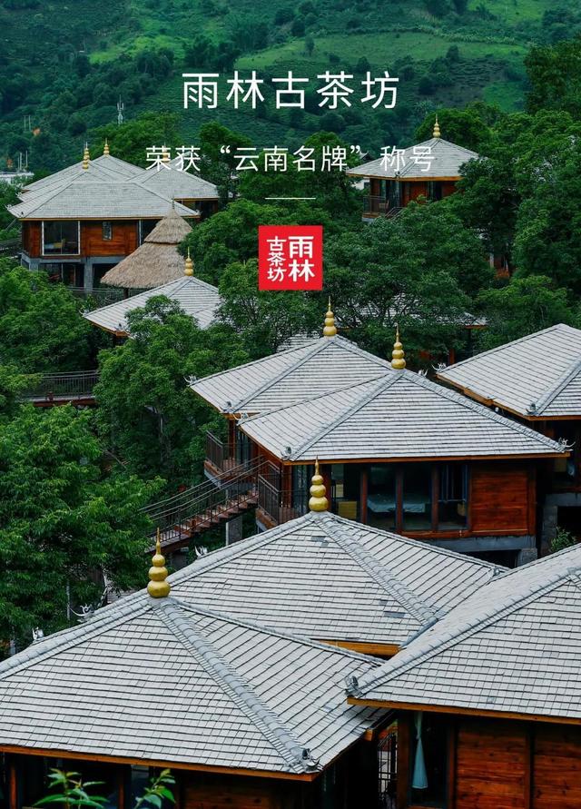 雨林古茶坊门头图片