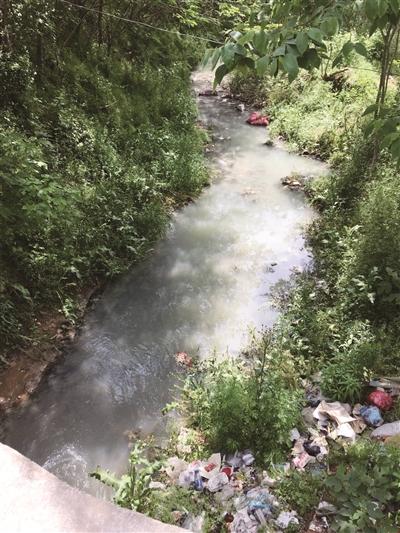 公园,顾名思义,是指以湿地良好生态环境和多样化湿地景观资源为基础