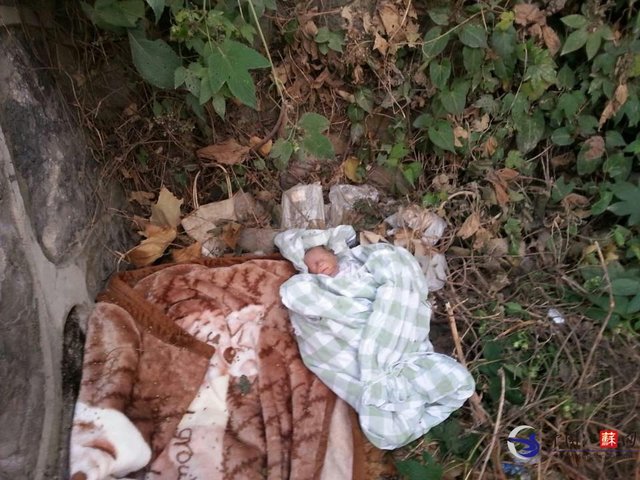 南京浦口一新生儿遭弃山脚下 发现时已被冻死