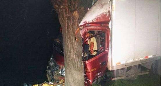 锦州一厢货撞上路边树，车辆严重变形，司机浑身是血