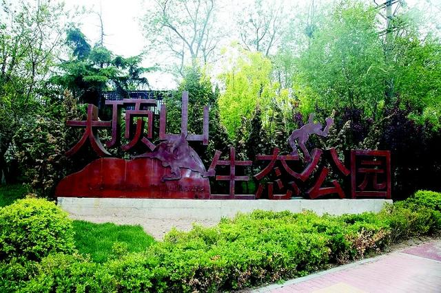 炎炎夏日,绿树成阴的大连市沙河口区大顶山生态公园成了市民避暑休闲