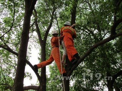 团伙盗刷银行卡后分赃不均 一女同伙被绑树上