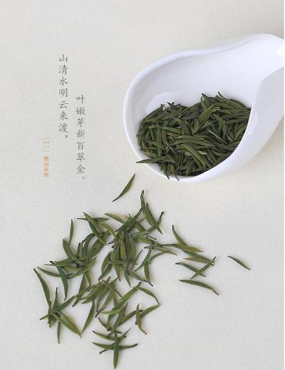 苞山云茶：从峨眉黑苞山走出的四川老川茶味道