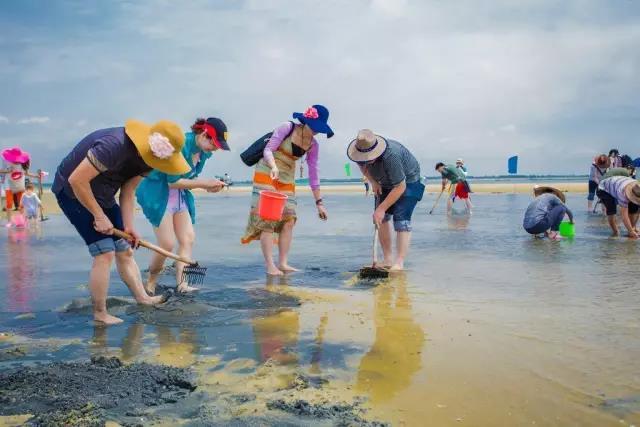 地址:營口市南部仙人島新區的白沙灣海濱公園境內地方選好了,怎麼趕海