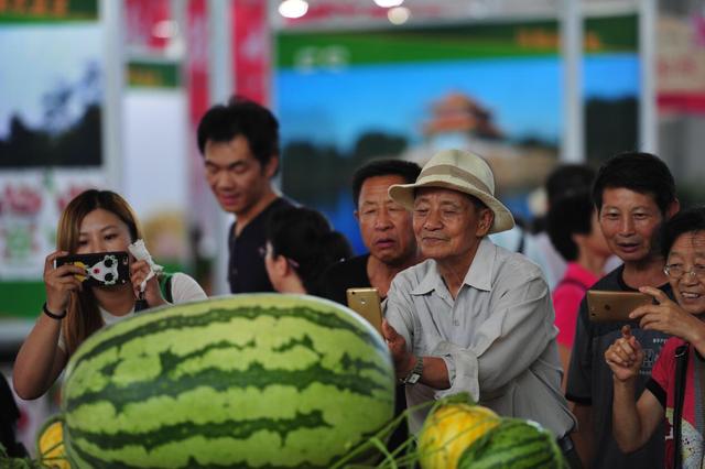 第十一届辽宁国际农业博览会暨第十九届沈阳国际农业博览会要来了与您相约9月丰收季 