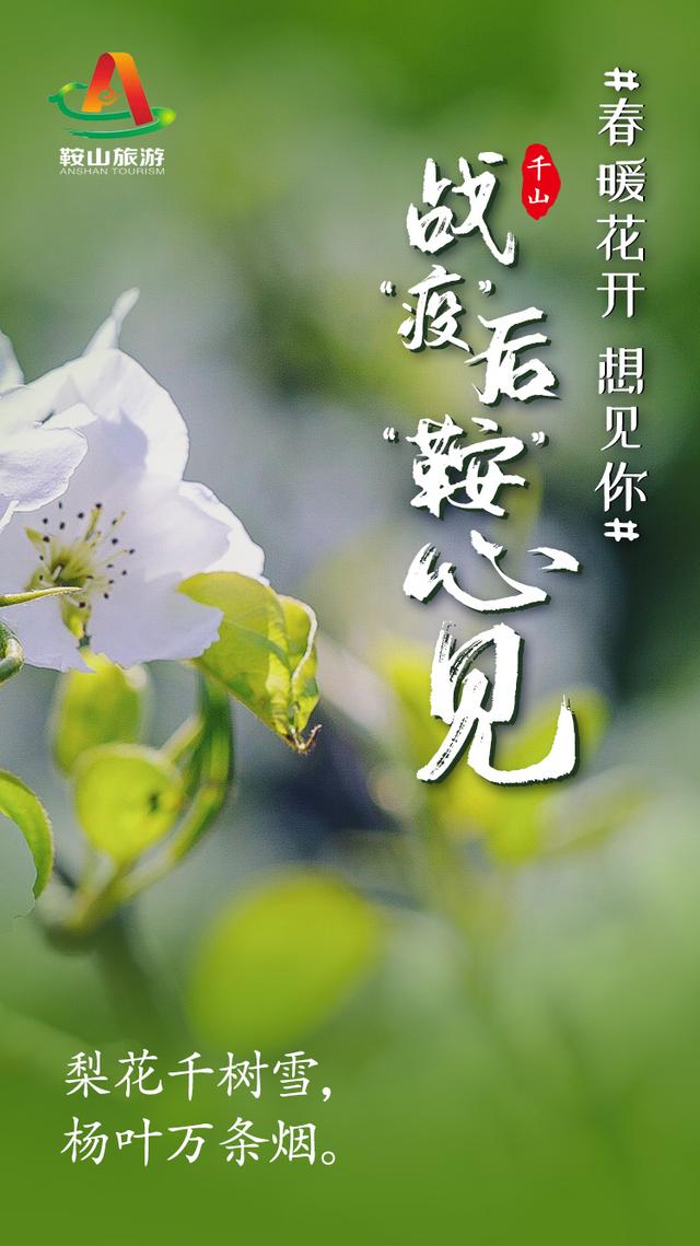 春暖花开 想见你! 战“疫”后,“鞍”心 见