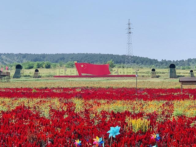 喀左润泽花海扶贫项目，打造多元化旅游景区