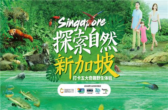 打卡五大奇趣野生体验 新加坡神奇动物园专场沙龙