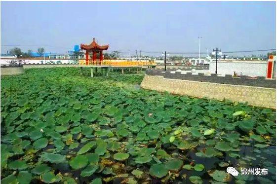 锦州32个乡镇村荣登省级“生态榜” 看看有你老家没