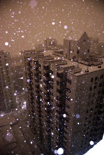 不厌平凡不羡仙