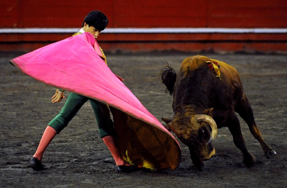 13岁小斗牛士竞技场激斗蛮牛