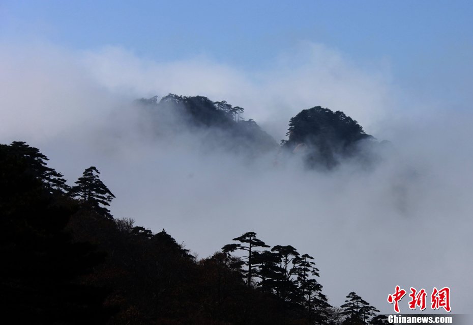 雨後黃山宛如仙境 - syg435896545 - syg435896545的博客