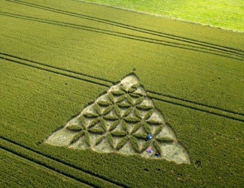 英國現巨大麥田怪圈 圖案極似西敏寺教堂(圖)