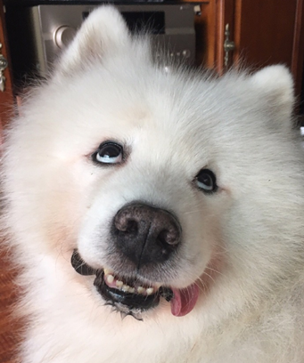 丈夫出轨,妻子举报公公腐败:有数十套房产和巨额财产 干得漂亮!