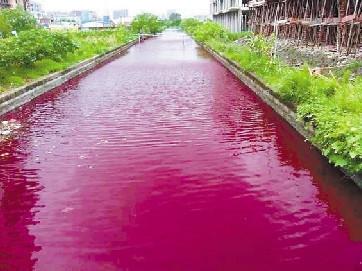 温州苍南一河流一夜变红 污染物初步判断为色素