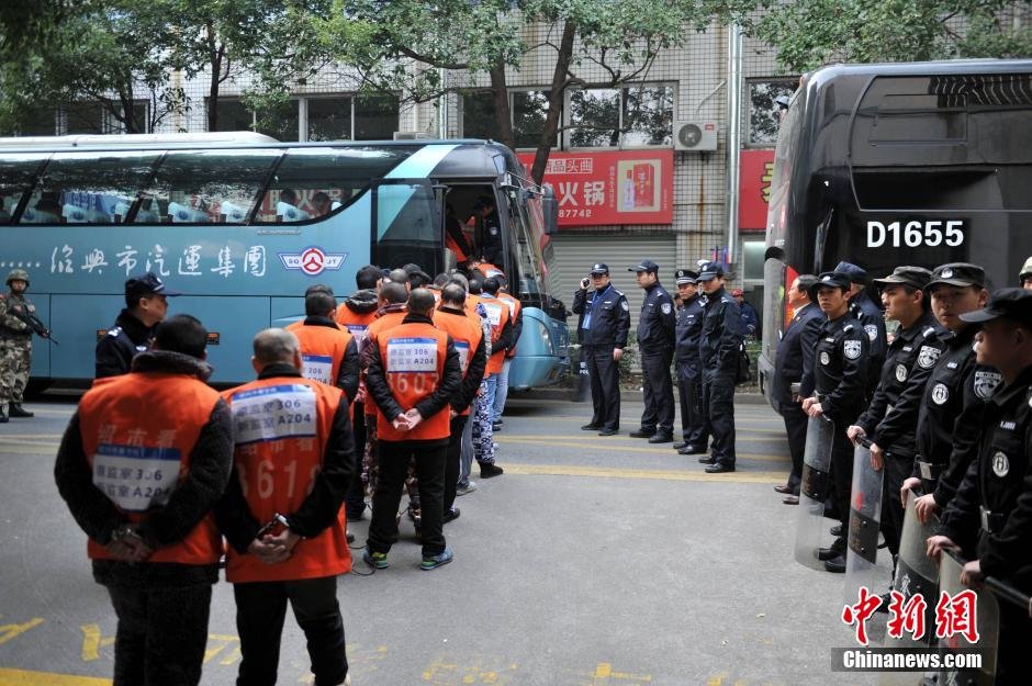 等待三千年,冷将军的极品娇妻,死亡诗社英文影评,月亮熊,暴风刑警国语