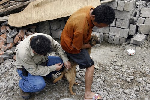 10%免疫率致狂犬病