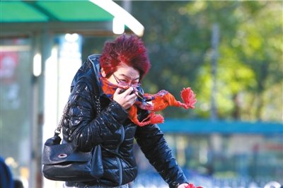 市民在寒风中行走.(资料图片)本报记者王海欣摄