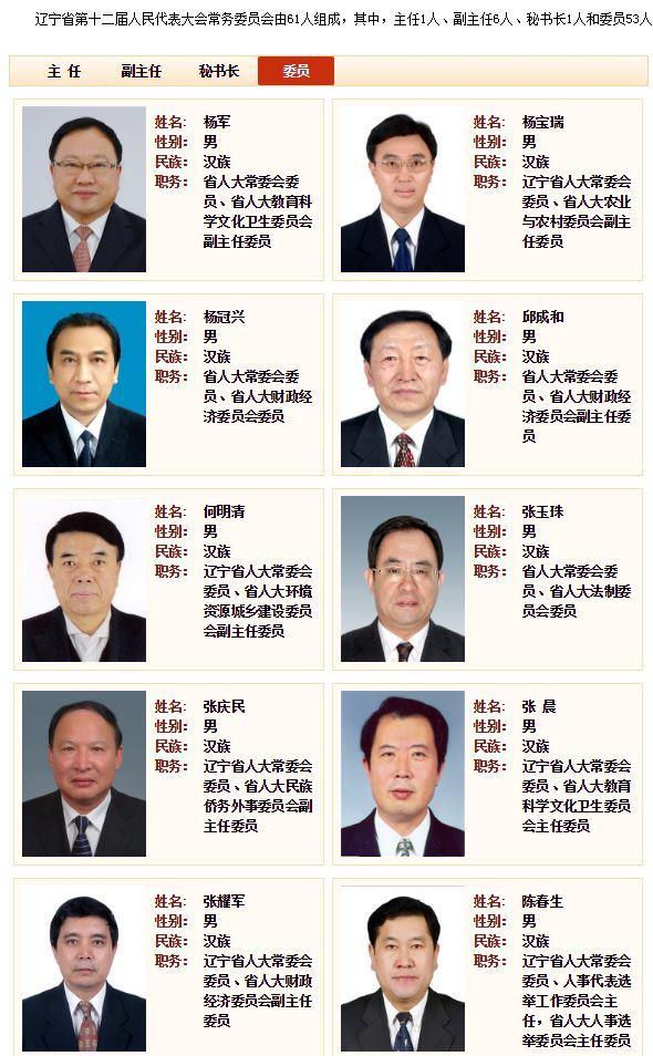除许波,李广平,杨军,何明清,张耀军,邱成和等人外,其余人简历均被撤下
