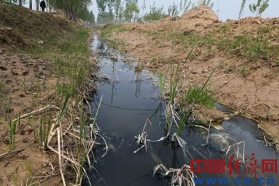 污水流入当地的灌溉渠中,村民们不得不用被污染的水灌溉.