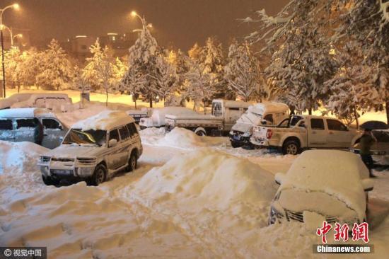 新疆塔城地区雪灾灾情持续 近5400人受灾