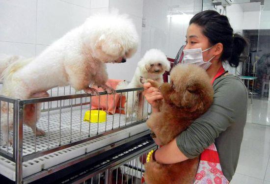 苏州国庆长假宠物寄养"一床难求"(组图)