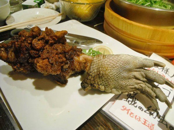 黑暗料理界:日本一餐厅专用生猛食材 鳄鱼爪上餐桌