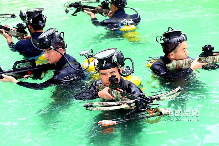 铁血军事论坛 陆军论坛 高清:成都军区某部"蛙人"水下训练瞬间