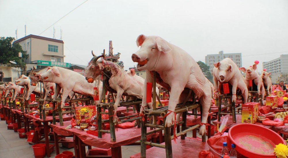 知足常乐乐的广播 _猪猪论坛