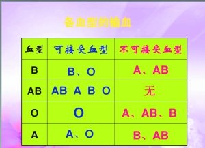 遗传血型规律表图片_血型遗传规律表_遗传血型规则