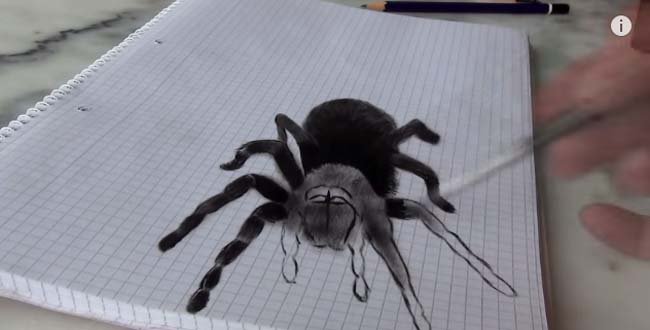 老爸画逼真3d大蜘蛛吓女儿 女儿上脚猛踹