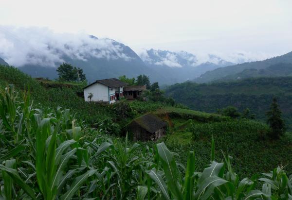 被称为“盲井村”的石笋村许多村民依然居住在高山上，很多地方连石子公路也无法到达。图片来源：澎湃新闻