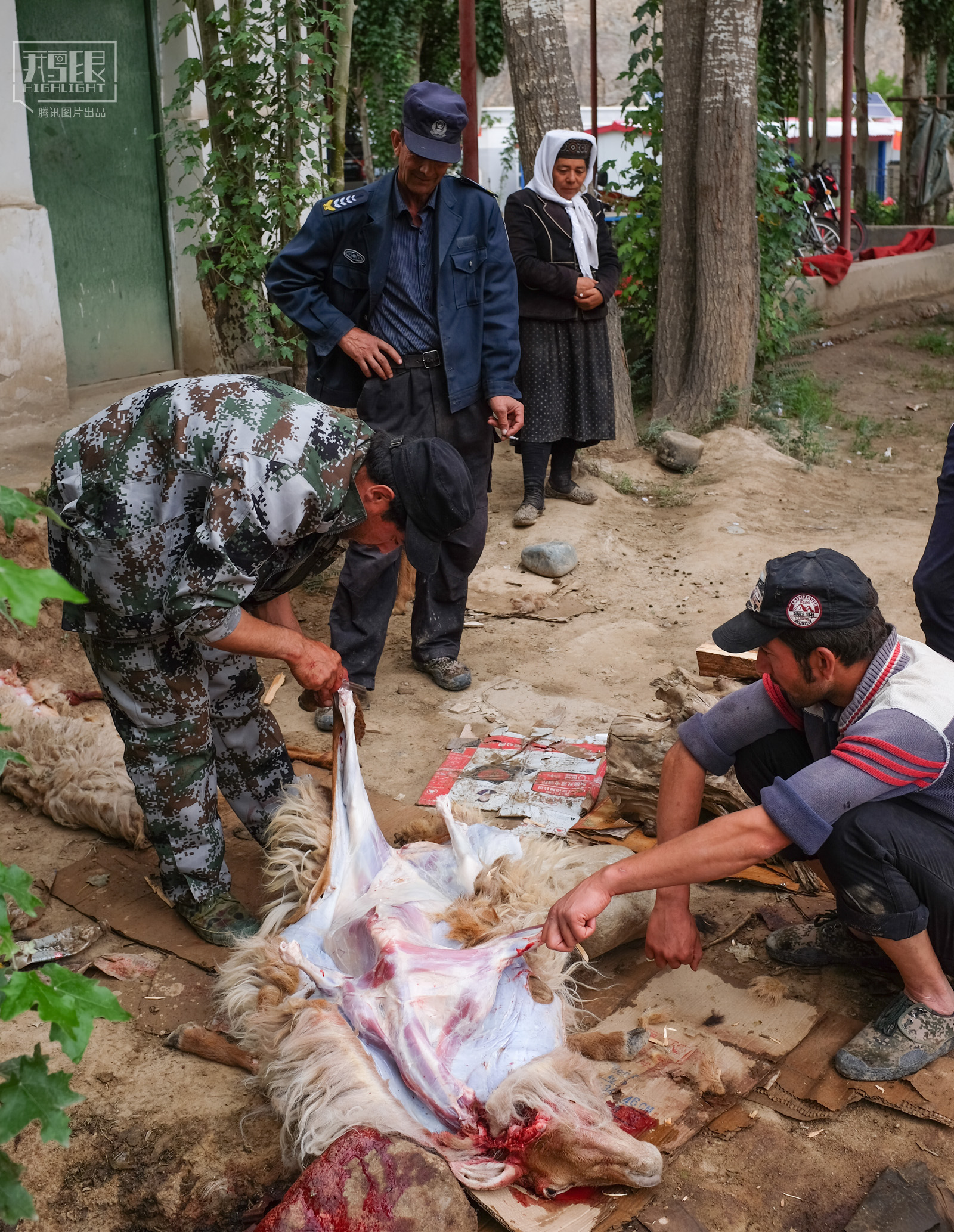 【鹅眼】昆仑山下"桃花源"2016年 第50期 | 总117期