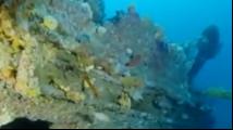 澳大利亚海底发现百年前沉船
