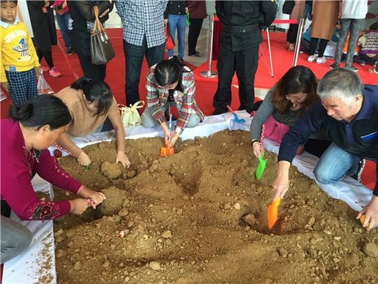 淘金圣手全城招募中