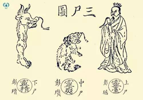 石榴文化与道教:天中五瑞与道教三尸醉