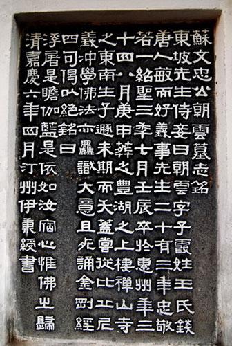 优惠购物平台：让生活更加多彩