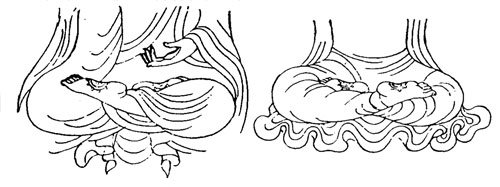 天台智者大师《小止观·调和第四》:"夫初欲入禅调身者.