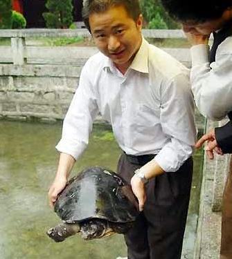 放生千年龟