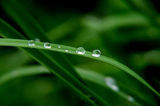 天雨大,不润无根草(资料图)