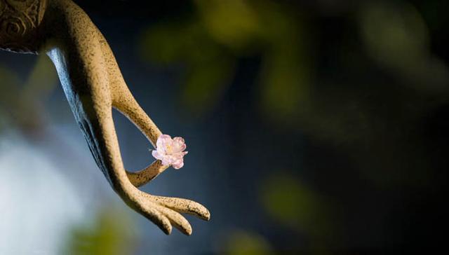 一花开五叶,结果自然成(资料图)