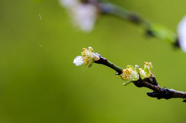 南宋词人韩元吉有"追往事,伤时节.但春风春雨,古人愁绝"的句子.