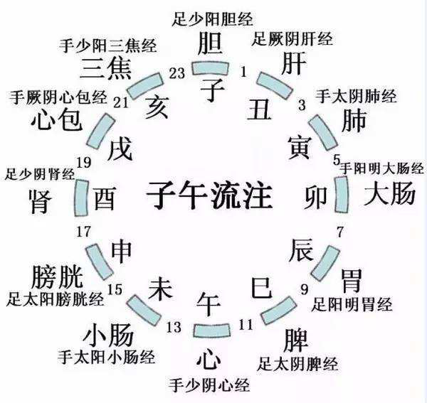 日出而作,日落而息:古人的作息時間與養生