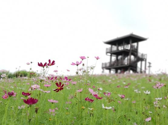 原来垃圾焚烧厂也可以这么美!