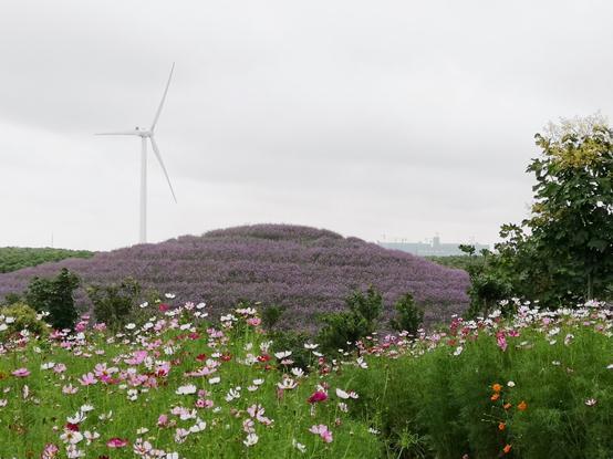 原来垃圾焚烧厂也可以这么美!