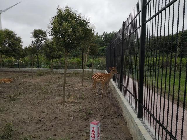 原来垃圾焚烧厂也可以这么美!